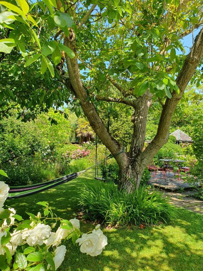 Roz-Landrieux Maison En Pierre Dans Son Nid De Verdure מראה חיצוני תמונה